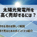 太陽光発電所を最大限高く売却する秘訣！売却時に行う3つのポイント